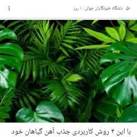 دفتر خدماتی نظافتی نسیم شهر ارا