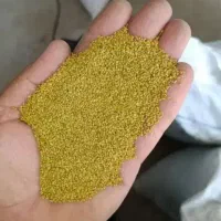 بذر یونجه درجه1