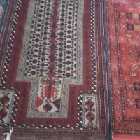 قالیچه۱۰۰۰|فرش|مشهد, موعود|دیوار