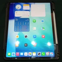 I pad pro 12.9 inch 256 LL/A|تبلت|مشهد, میعاد (شهرک غرب)|دیوار