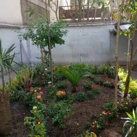 خدمات باغبانی هرسکاری گل کاری و تعویض خاک گلدون