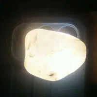 شجر رگ دار آبدار گبری با قدمت ۷۰۰۰ سال|کلکسیون اشیاء عتیقه|بم, |دیوار