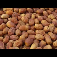 زهدی بهبهان و‌رطب پخته|خوردنی و آشامیدنی|اهواز, کوی مهدیس|دیوار