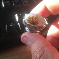 شجر قائنات مافوق کلکسیون