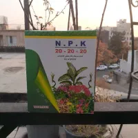 کود سه بیست، گلدهی و ریشه زا