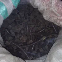 علوفه گاو گوسفند