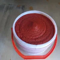 رب خانگی