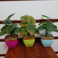 گل مصنوعی، گلدان، تزیینی، گیاه باکسی|گل مصنوعی|تهران, اسفندیاری|دیوار