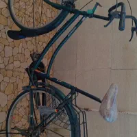 قیمت مقطوع است