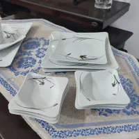 ظروف چینی TOOS|ظروف سرو و پذیرایی|رشت, چله خانه|دیوار