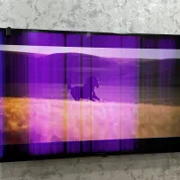 فروش تلویزیون LG  سایز ۵۰ اینچ|تلویزیون و پروژکتور|رشت, آزادگان|دیوار