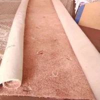 پالاز موکت