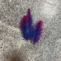 لوازم اکواریوم|لوازم جانبی حیوانات|تهران, شهرک صدرا|دیوار