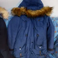دو عدد پالتو زمستانی|لباس|بومهن, |دیوار