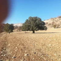 زمین-خانه-باغ-چوار-500متر