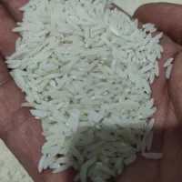 برنج هاشمی سورتینگ زده