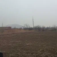 زمین-باغ-باغچه