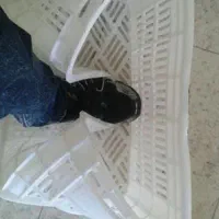 سبد میوه قیمت کارخانه|ظروف نگهدارنده، پلاستیکی، یک‌بارمصرف|قائم‌شهر, |دیوار