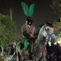 نریون کرد خالص