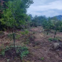 636متر زمین ویلایی مسکونی در شیرآباد|فروش زمین و ملک کلنگی|حویق, |دیوار