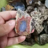 انگشتر معاوضه با سهره یا قناری