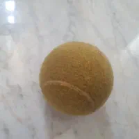 توپ تنیس و پدل