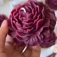 شمع، اسماج|صنایع دستی و سایر لوازم تزئینی|شیراز, شاهجیان|دیوار
