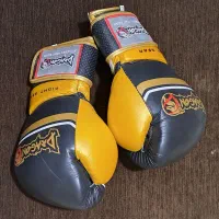 لوازم بوکس و موی تای