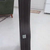 کیس محکم ولی نظیر گیتار