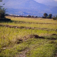 ۵۰۰متر داخل بافت دور دیوار