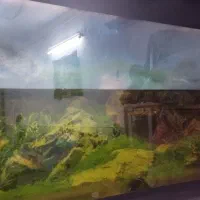 آکواریوم