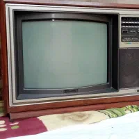 تلوزیون داخلش فابریک