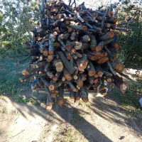 خریدار انواع چوب|خدمات باغبانی و درختکاری|اقبالیه, |دیوار