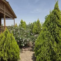 استخدام خانواده یا زوج برای نگهبانی 24 ساعت