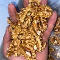 مغز گردوی امساله درجه یک|خوردنی و آشامیدنی|تهران, حشمتیه|دیوار