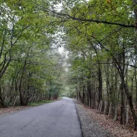 2هکتار زمین چسبه ساخت/سنددار/حومه نور|فروش زمین و ملک کلنگی|کیاکلا, |دیوار