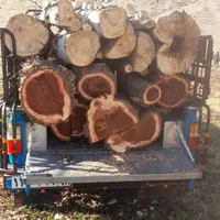 خریدار انواع چوب درخت