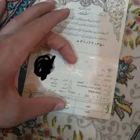 پیداکردن شناسنامه