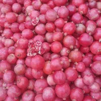 انار دانه قرمز|خوردنی و آشامیدنی|بختگان, |دیوار