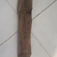 فروش چوب آبنوس برای آکواریوم|ماهی|بروجرد, |دیوار