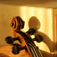 ویولن های فونیکس و ریچارد بونل|ویولن|همدان, |دیوار