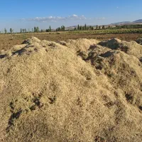 کاه لوبیا چتی|عمده‌فروشی|ماهدشت, |دیوار