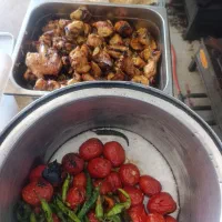 آشپزخانه و سفارشات مجالس و شرکت ها|خدمات پذیرایی، مراسم|بمپور, |دیوار