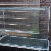 آکواریوم شیشه. خم|ماهی|اسلام‌شهر, شهرک الهیه|دیوار