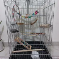 یک عدد قفس پرنده