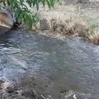 فروش ۴۴۰متری   باغچه شهرکی  در تنکمان|فروش زمین و ملک کلنگی|هشتگرد, هشتگرد قدیم|دیوار