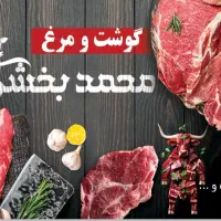 مرغ خردکن سابقه دار جوان وسریع