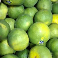 استخدام نیروی کار در میوه فروشی