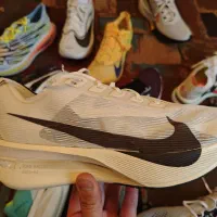 کفش رانینگ|کیف، کفش، کمربند|همدان, |دیوار