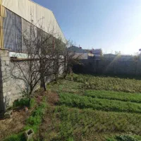 فروش زمین ۳۰۰متری سند دار دور دیوار در رشت آتشگاه|فروش زمین و ملک کلنگی|رشت, آتشگاه|دیوار